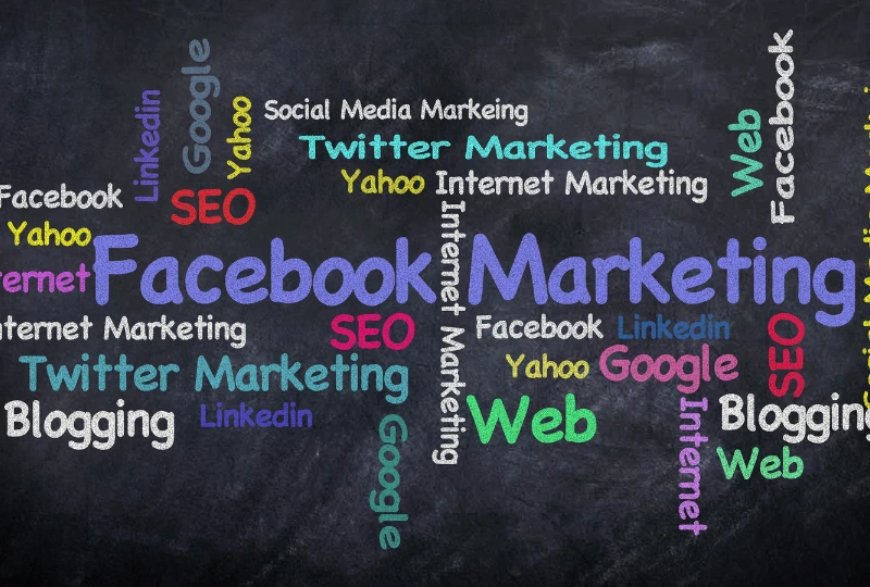 a importância de um especialista em seo para seu site