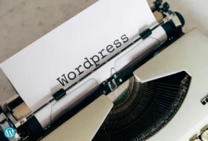 Como o WordPress ganha dinheiro?