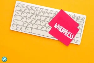 Quanto cobrar por um e-commerce WordPress?