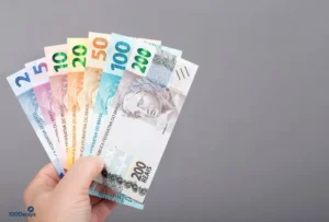 Serviços Domiciliares Renda Extra Brasil